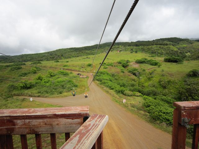 IMG 0563 copy